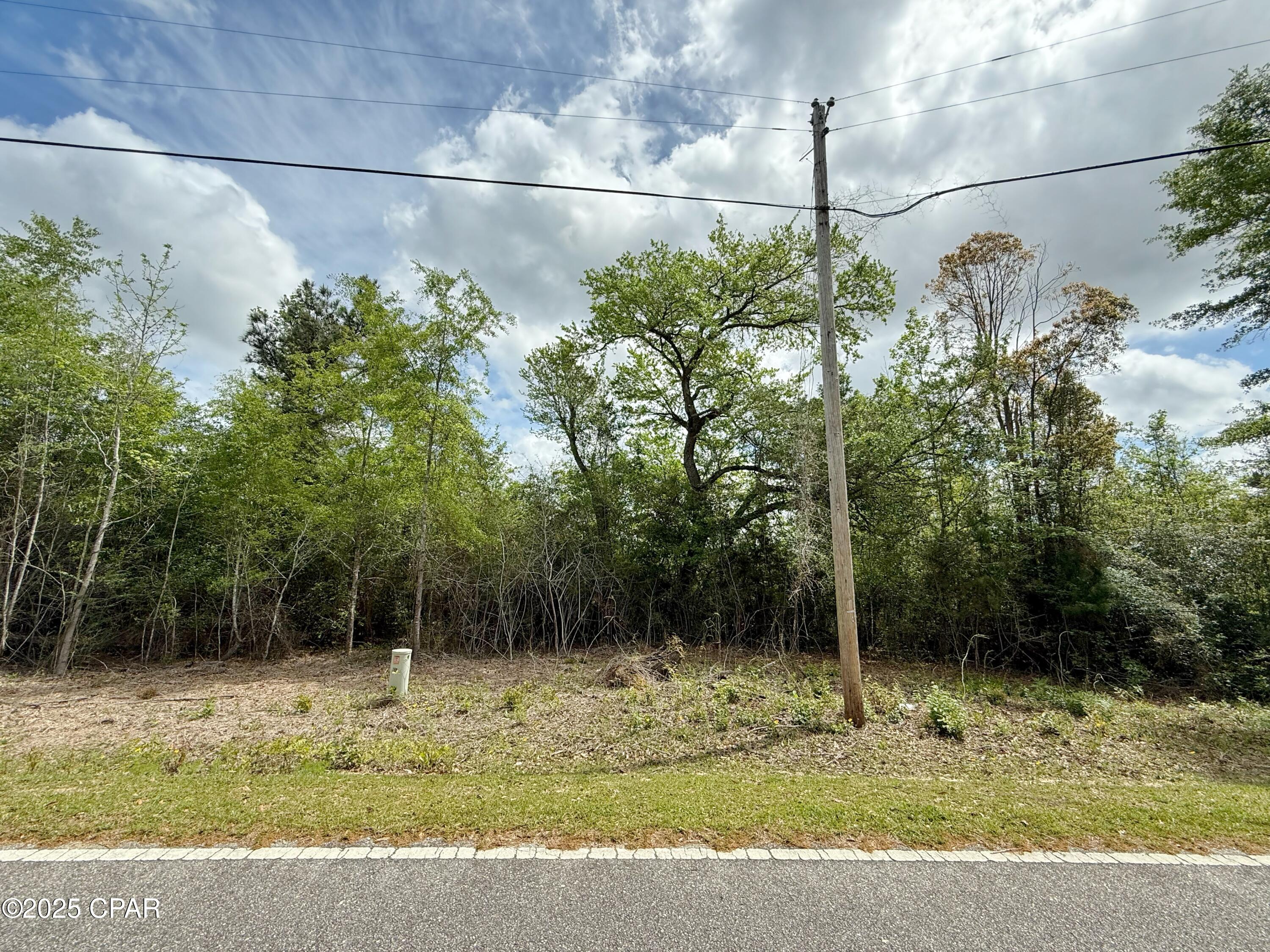 0 Mashburn Road Marianna, FL 32448 - Photo 3 of 6