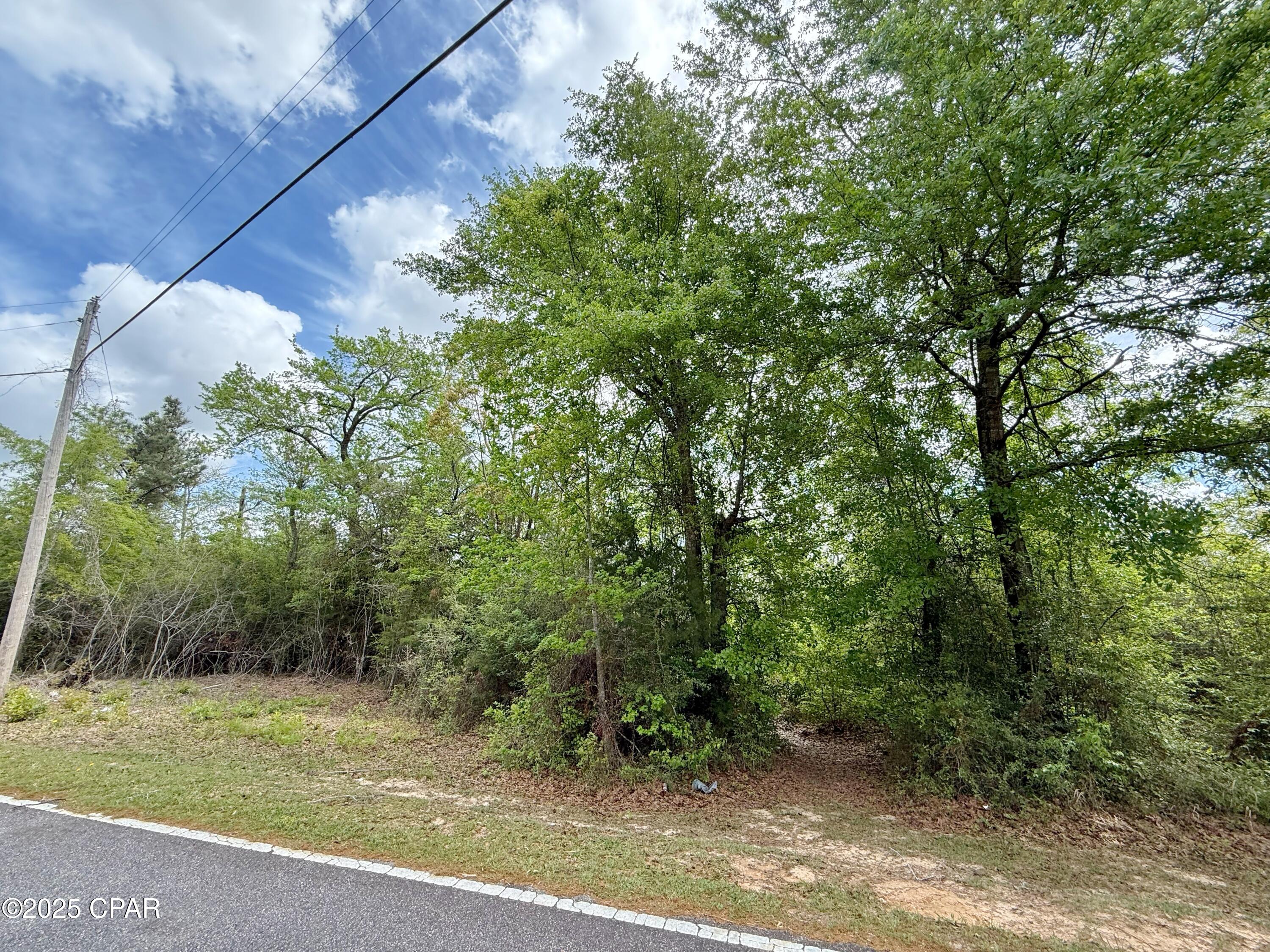 0 Mashburn Road Marianna, FL 32448 - Photo 4 of 6