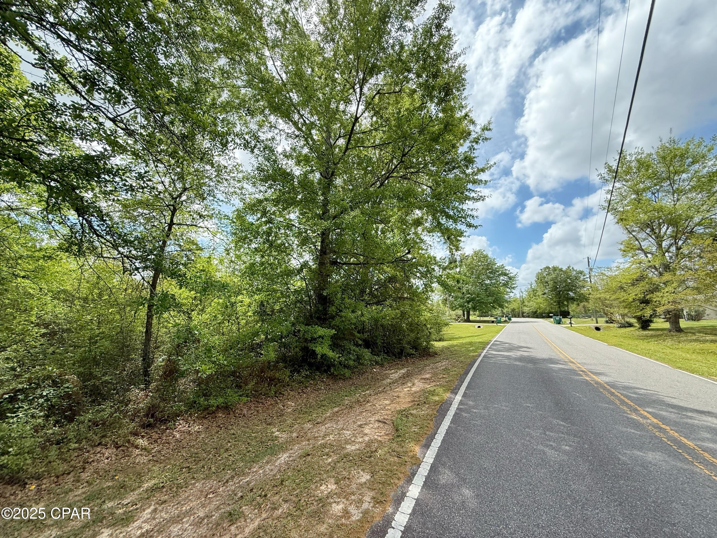 0 Mashburn Road Marianna, FL 32448 - Photo 5 of 6