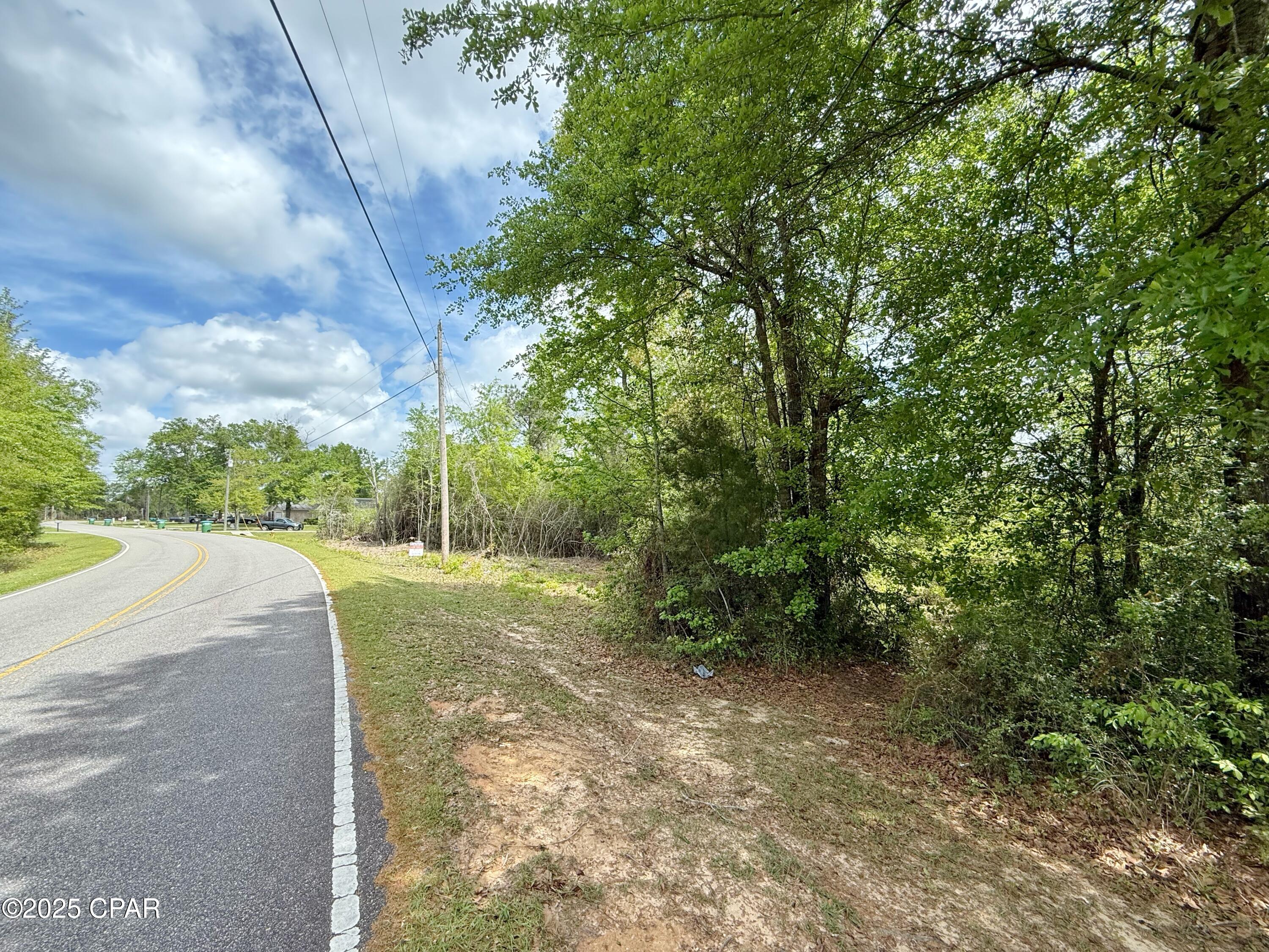 0 Mashburn Road Marianna, FL 32448 - Photo 6 of 6