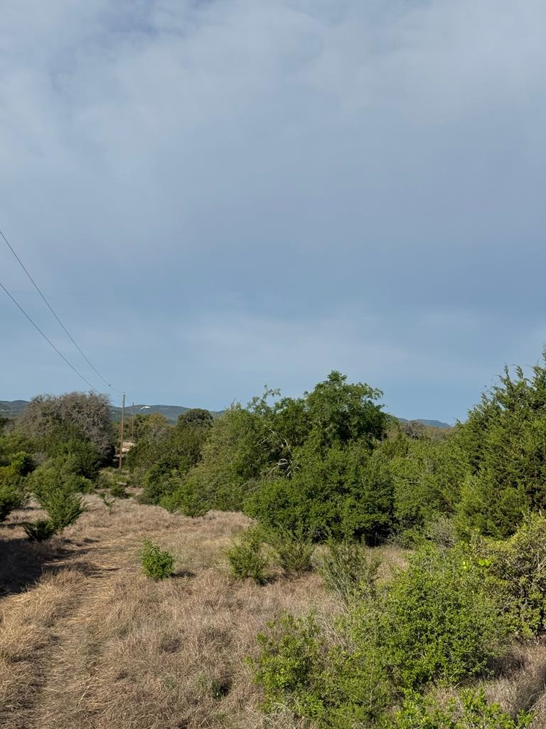 1 Fm 2828 Medina, TX 78055 - Photo 1 of 6 a view of a field of grass and trees