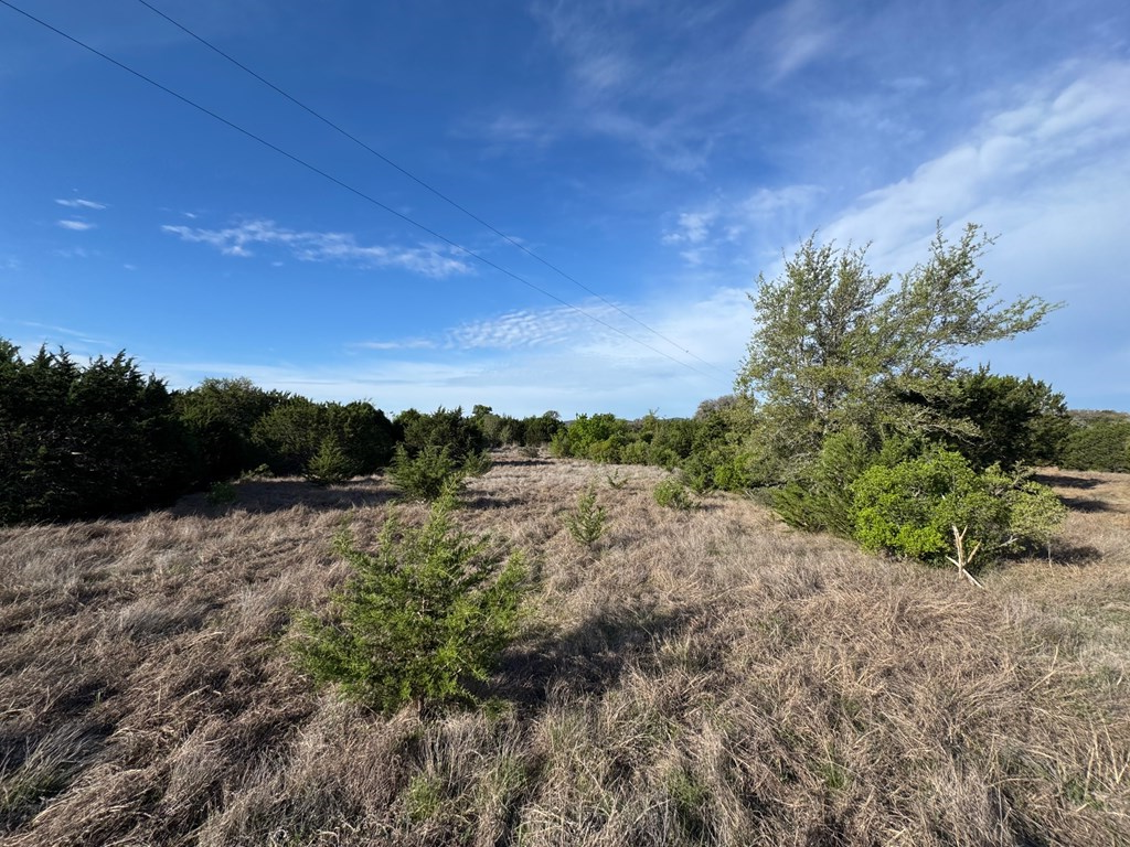 1 Fm 2828 Medina, TX 78055 - Photo 2 of 6