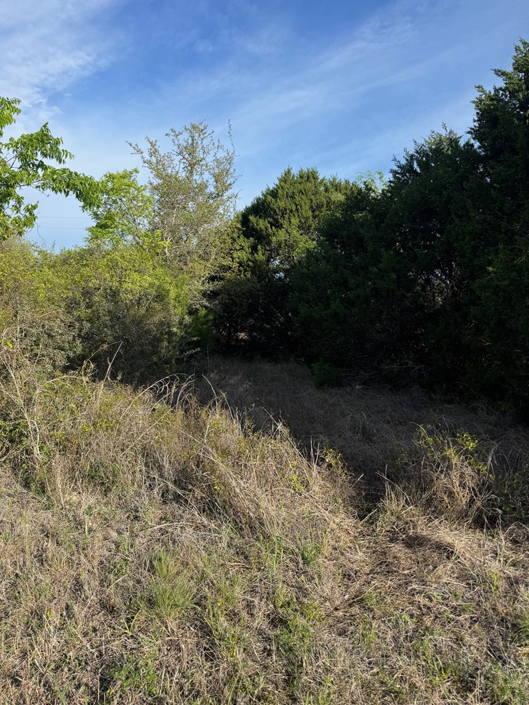 1 Fm 2828 Medina, TX 78055 - Photo 6 of 6 a view of a yard with a tree