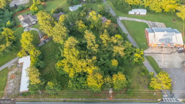 a bird view of a garden