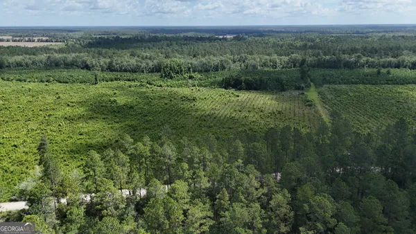 a view of a green field with lots of bushes