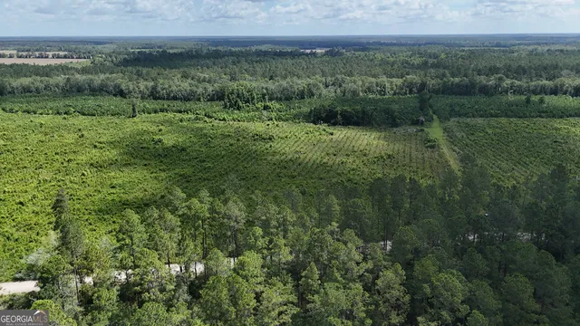 a view of a green field with lots of bushes