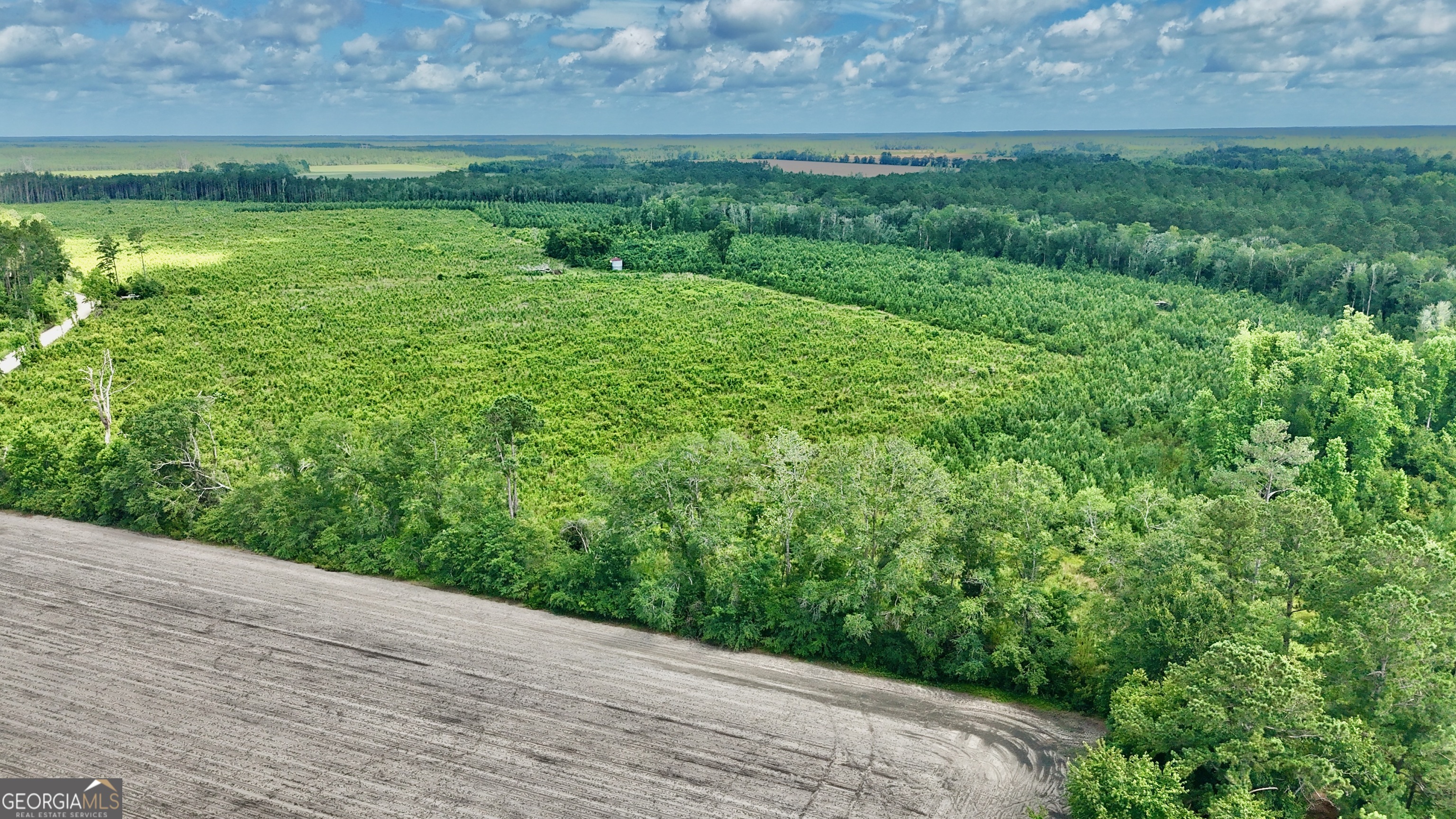 3 Bennett Mill Pond Road Odum, GA 31555 - Photo 3 of 4 a view of a yard with an outdoor space