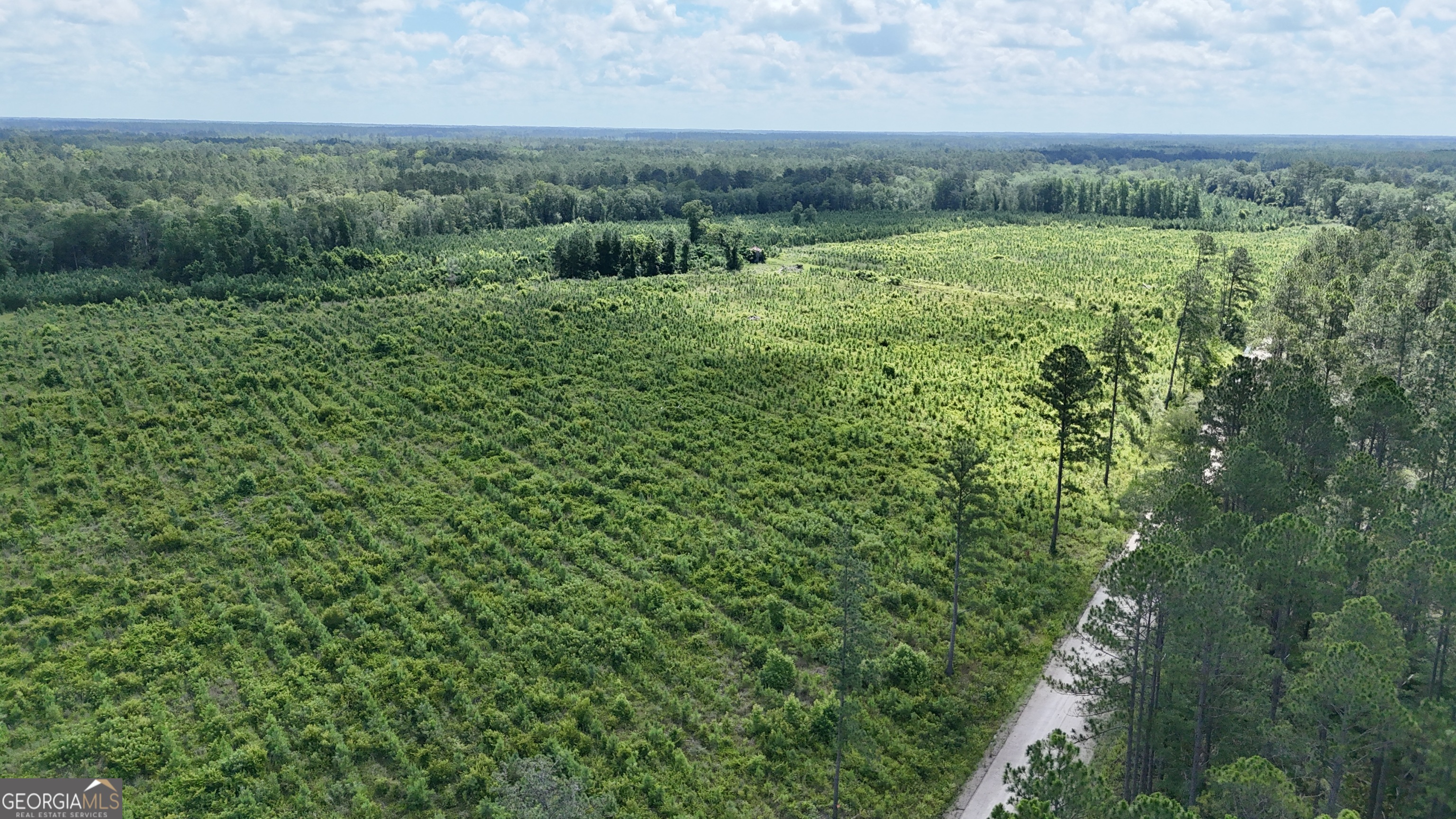 3 Bennett Mill Pond Road Odum, GA 31555 - Photo 4 of 4 an aerial view of residential houses with outdoor space and trees