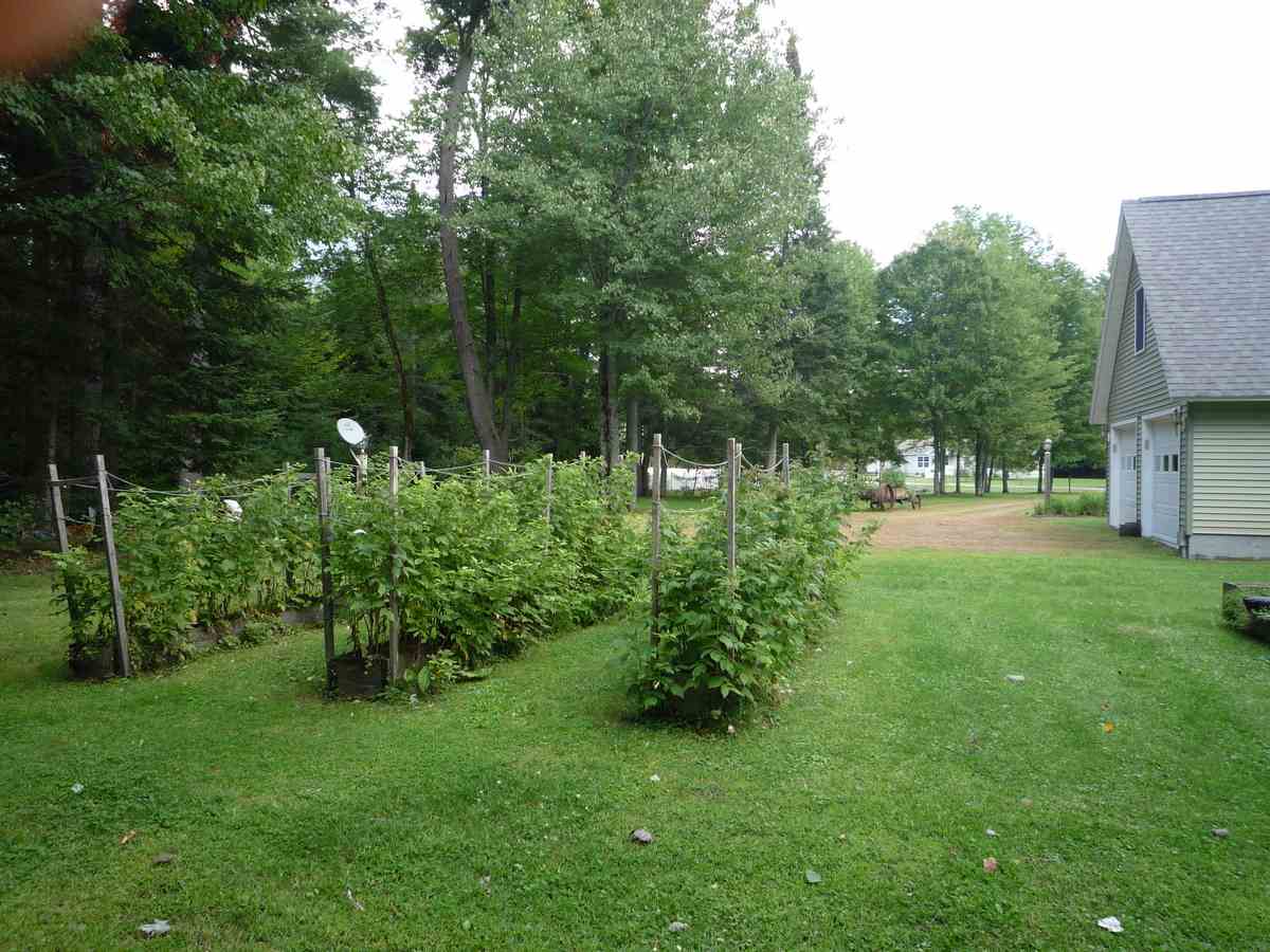 17 Pine Haven Road Lancaster, NH 03584 - Photo 5 of 36