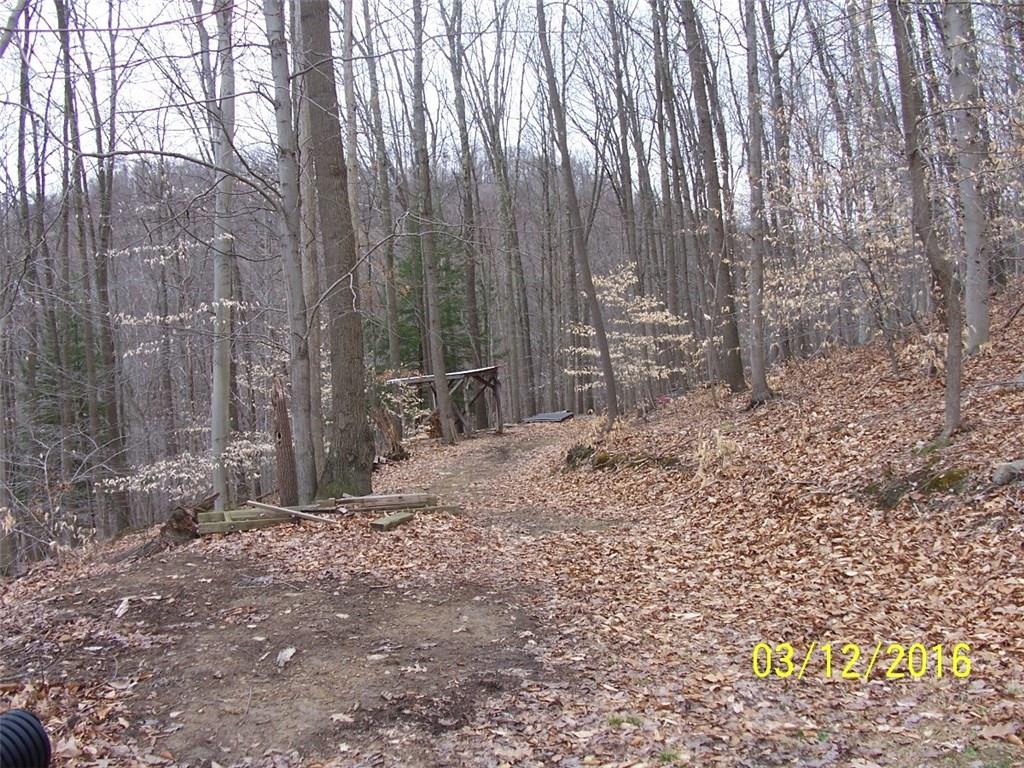 454 Steel Hill Road Mount Morris, PA 15349 - Photo 21 of 23 Gallery Image 21