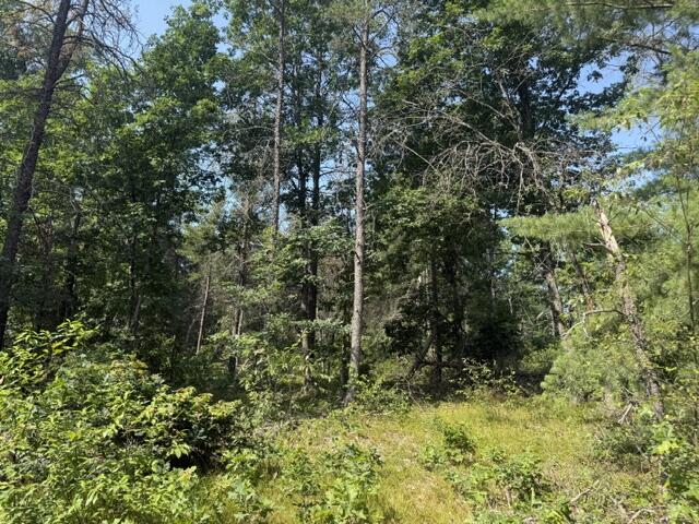 7760 South Merrillville Road Baldwin, MI 49304 - Photo 6 of 8 IMG_7582
