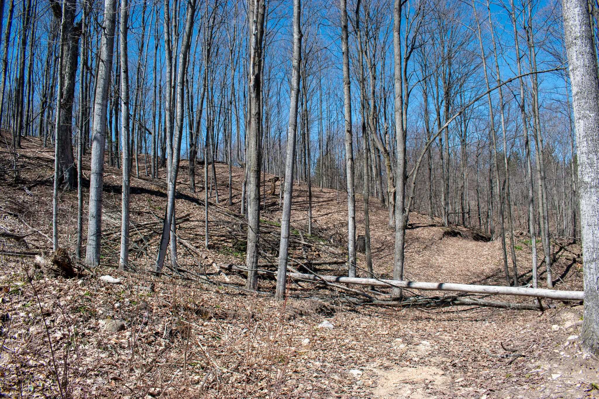 0 East Smiseth Road Suttons Bay, MI 49682 - Photo 30 of 67
