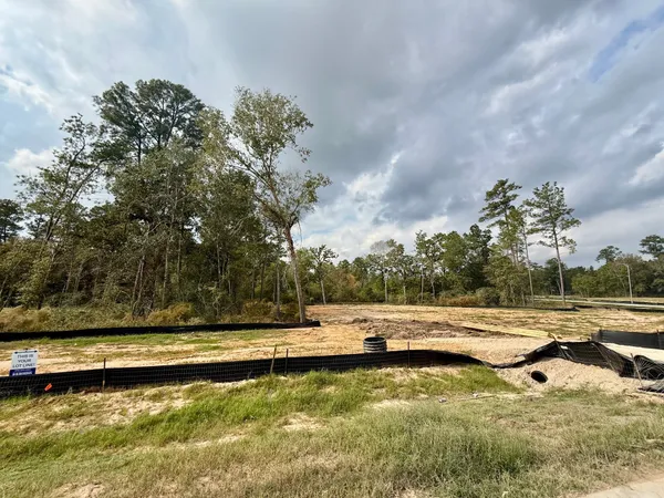 $897,300 | 331 Louvenia Court, Magnolia, TX 77354