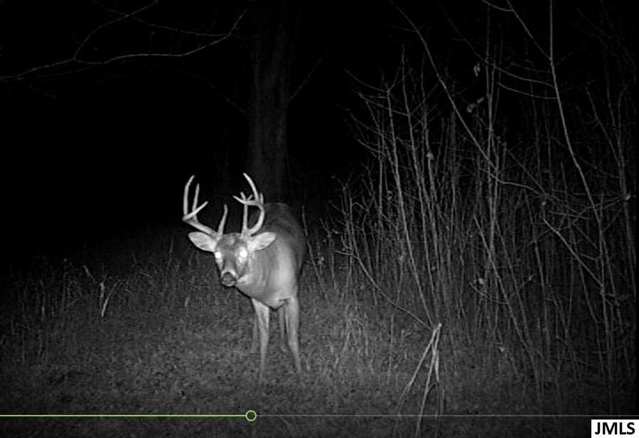 8042 Case Road Brooklyn, MI 49230 - Photo 34 of 34 Photo 34
