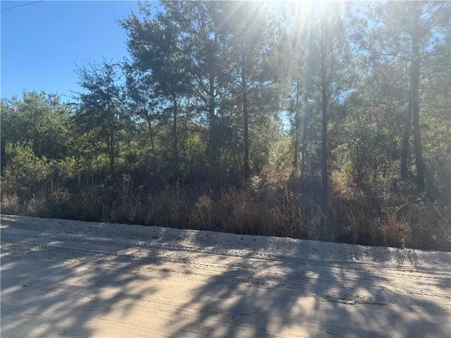 $20,000 | 0 Blue Jay Lane, Hoboken, GA 31542