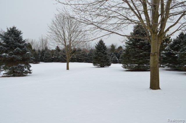 1392 Swarthout Road Pinckney, MI 48169 - Photo 19 of 20 Land 012.jpg