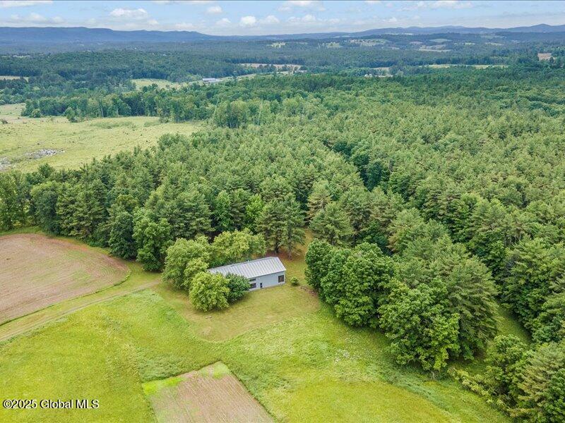 107 Hosey Russell Road Pittstown, NY 12094 - Photo 3 of 37 03-DJI_0017