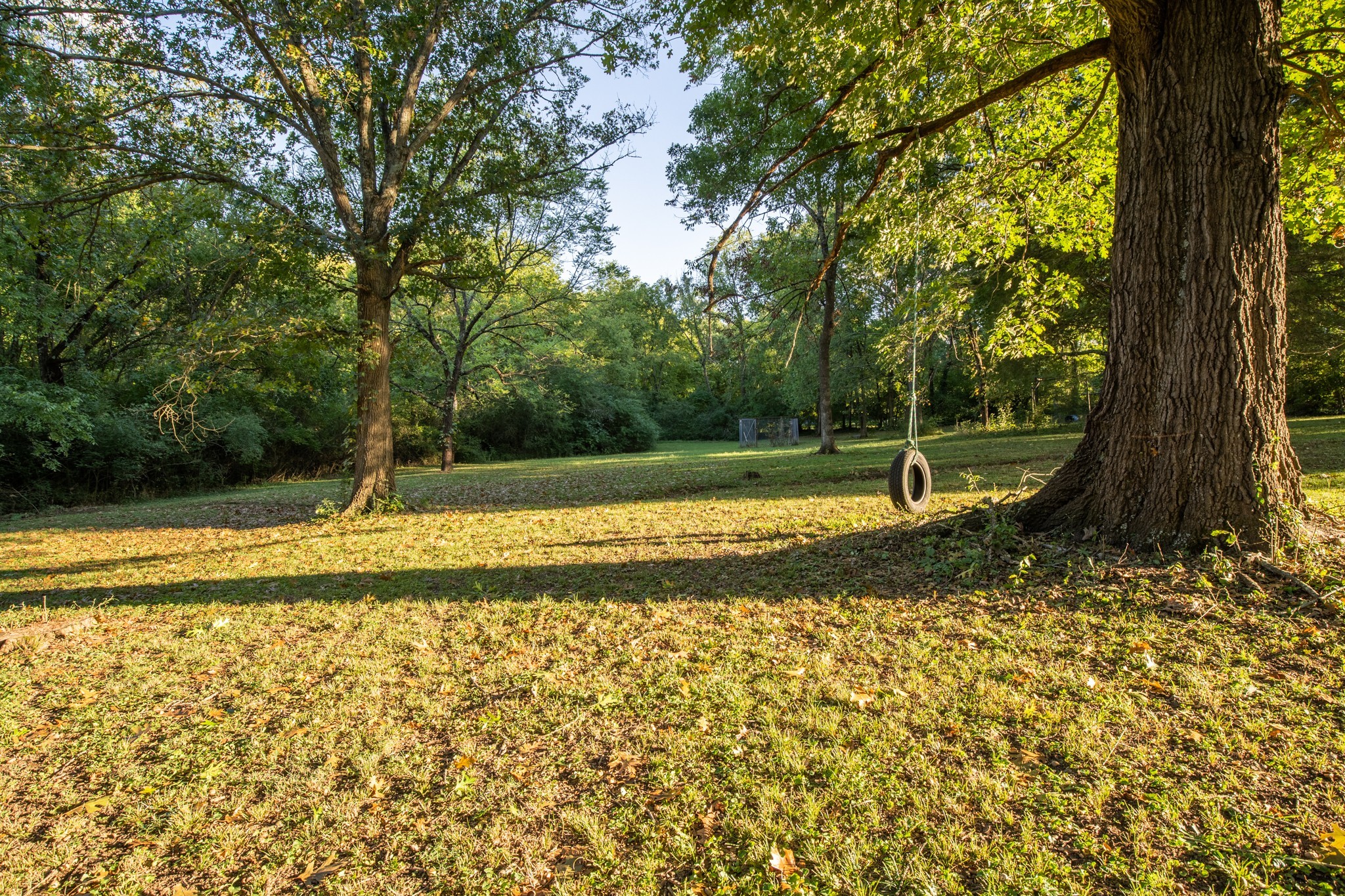 109 Randy Road Madison, TN 37115 - Photo 28 of 31 a view of a yard with a tree