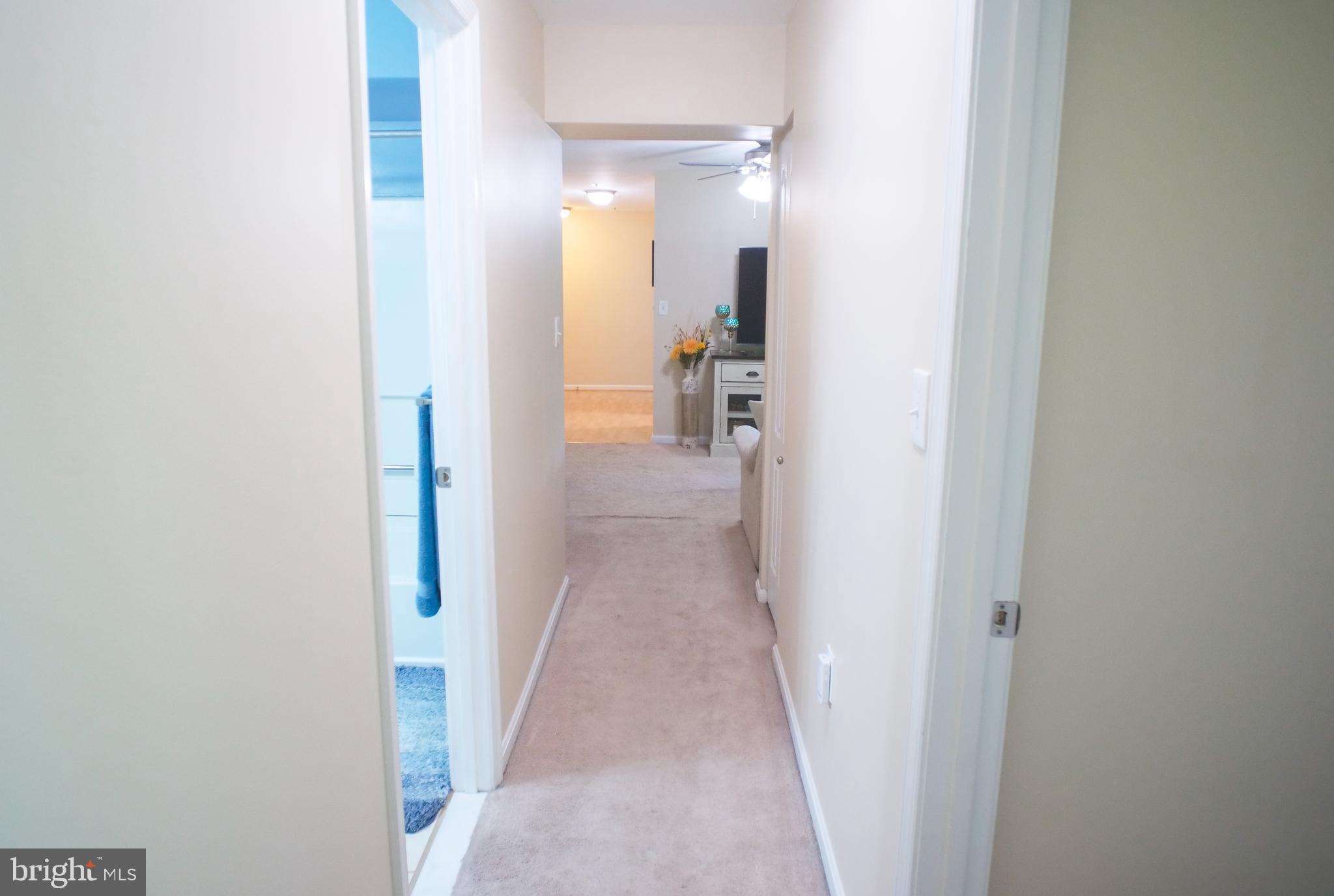 8507 Falls Run Road, Unit G Ellicott City, MD 21043 - Photo 28 of 33 Hallways