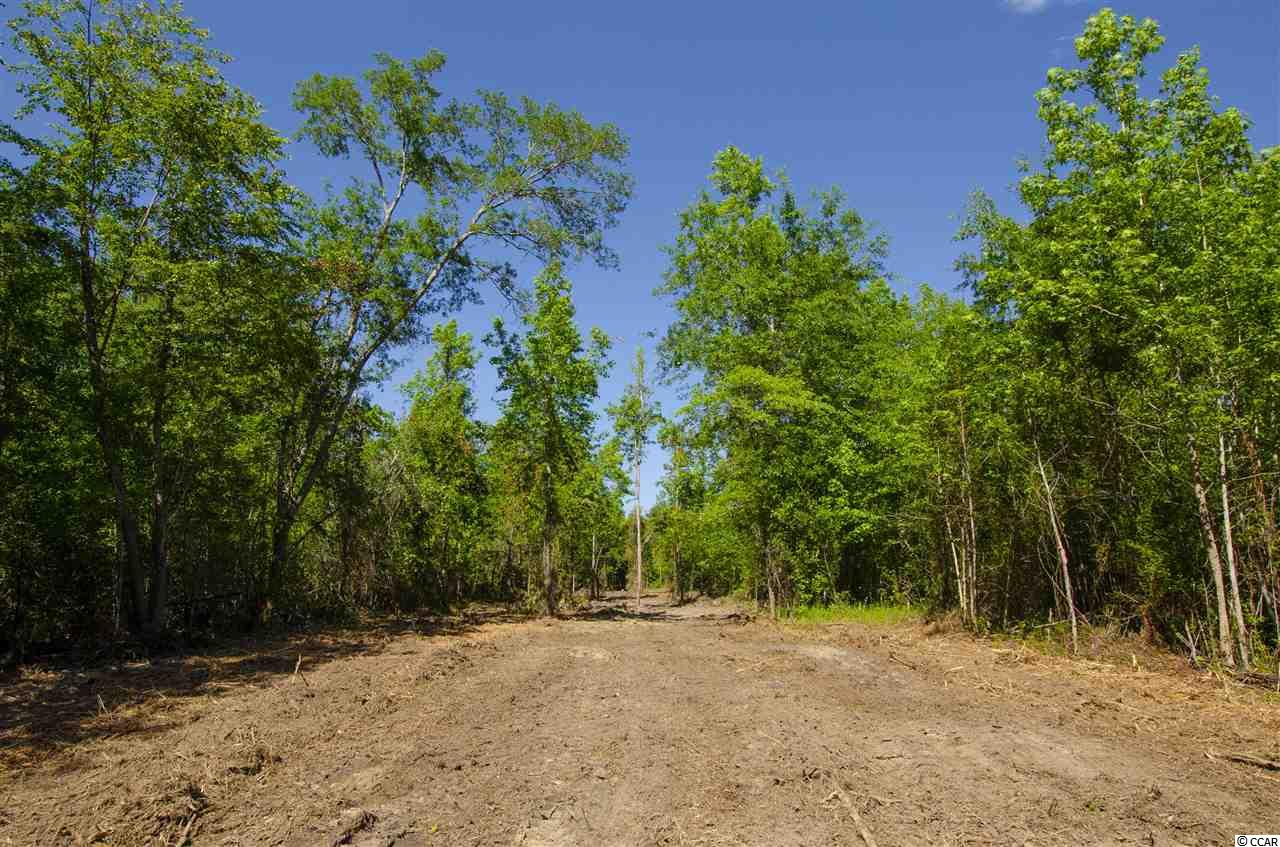 2 Corner Loop Road Georgetown, SC 29440 - Photo 11 of 17 Gallery Image 11