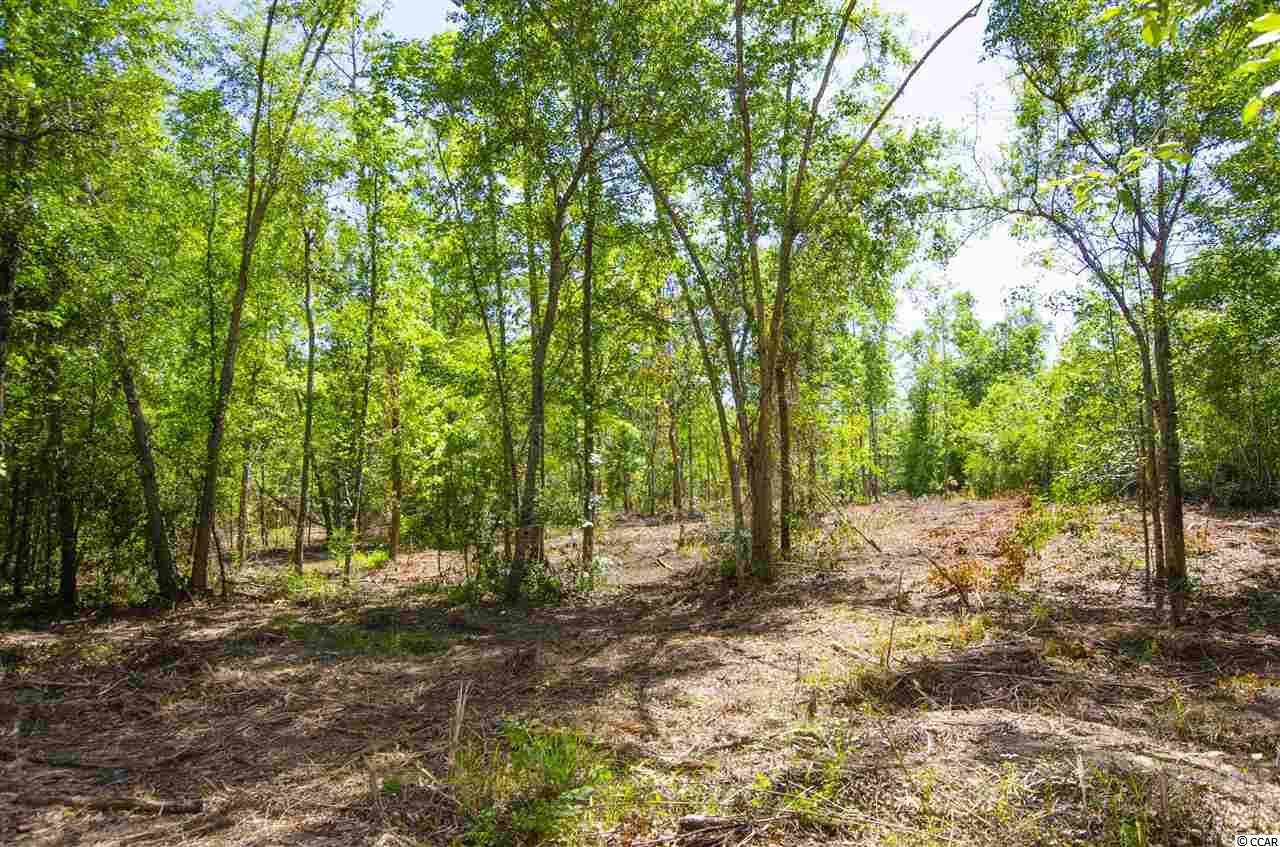 2 Corner Loop Road Georgetown, SC 29440 - Photo 12 of 17 Gallery Image 12