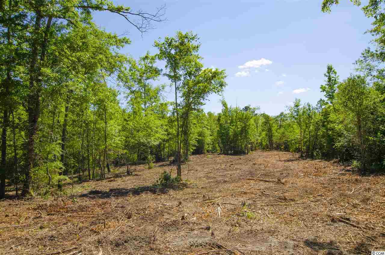 2 Corner Loop Road Georgetown, SC 29440 - Photo 13 of 17 Gallery Image 13
