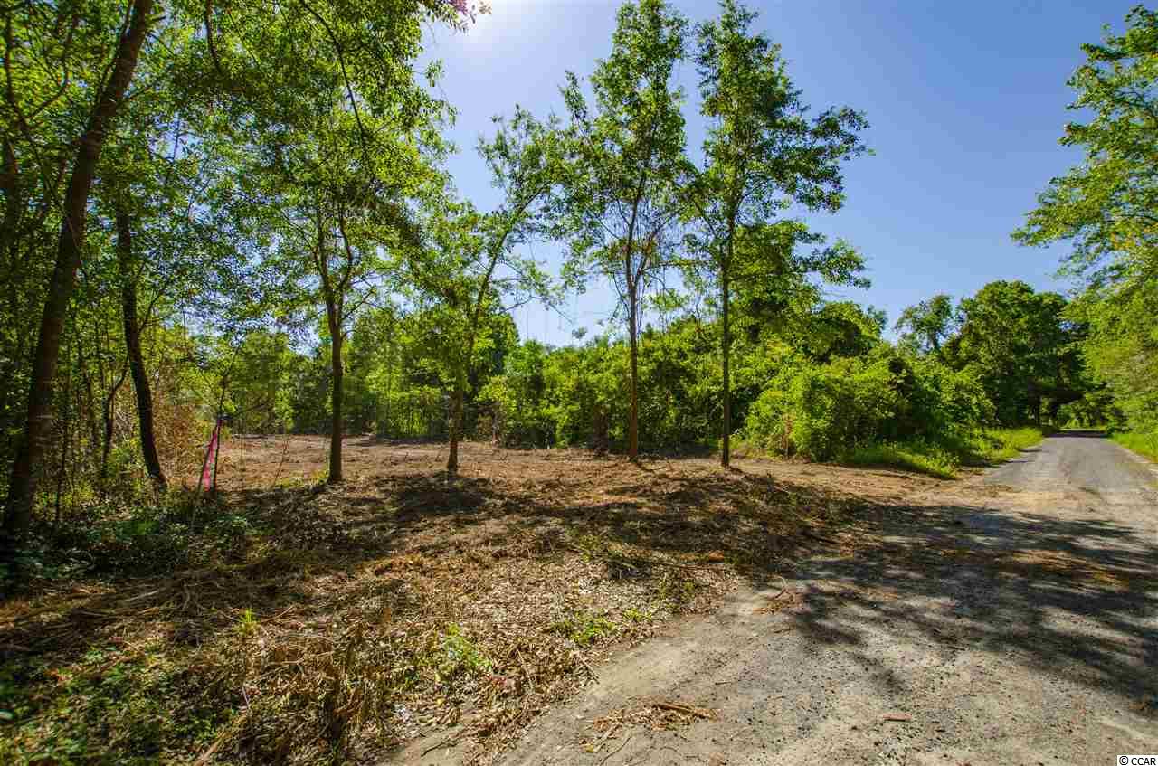 2 Corner Loop Road Georgetown, SC 29440 - Photo 9 of 17 Gallery Image 9