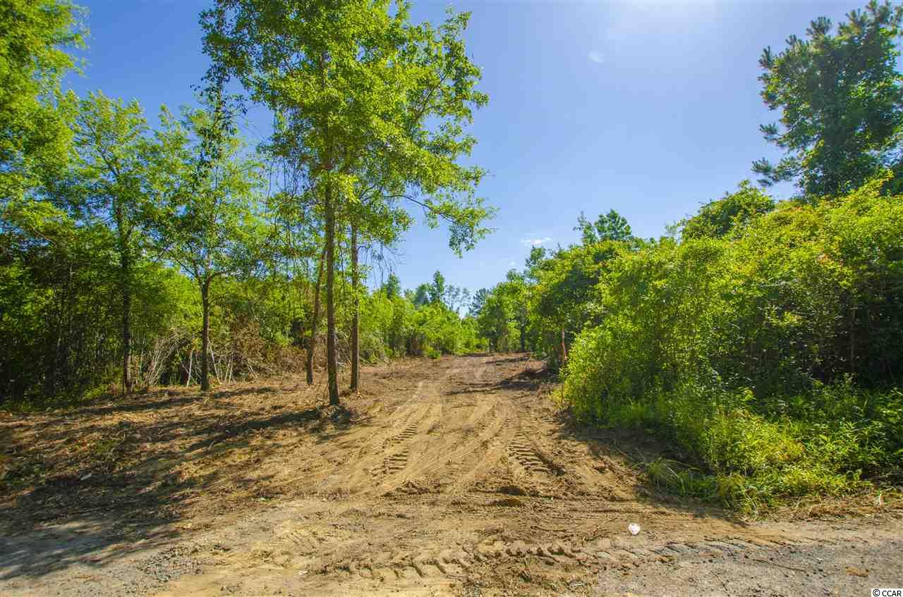2 Corner Loop Road Georgetown, SC 29440 - Photo 10 of 17 Gallery Image 10