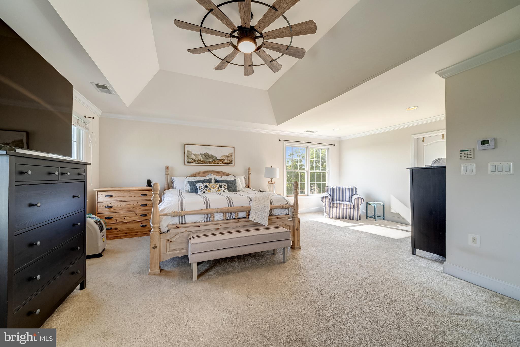 40965 Stumptown Road Waterford, VA 20197 - Photo 51 of 68 beautiful master with trey ceiling