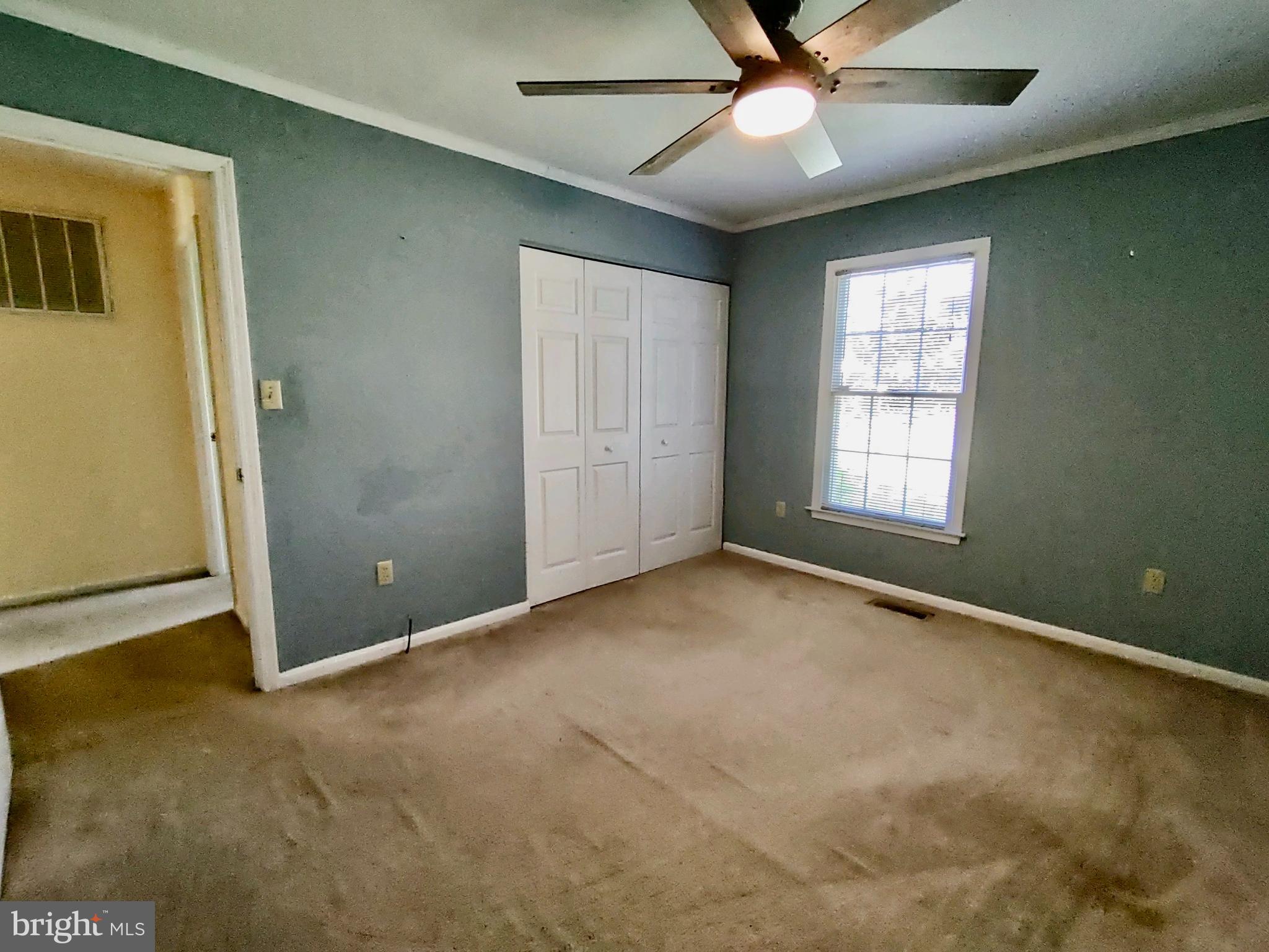209 Tennessee Road Stevensville, MD 21666 - Photo 22 of 37 Gallery Image 22