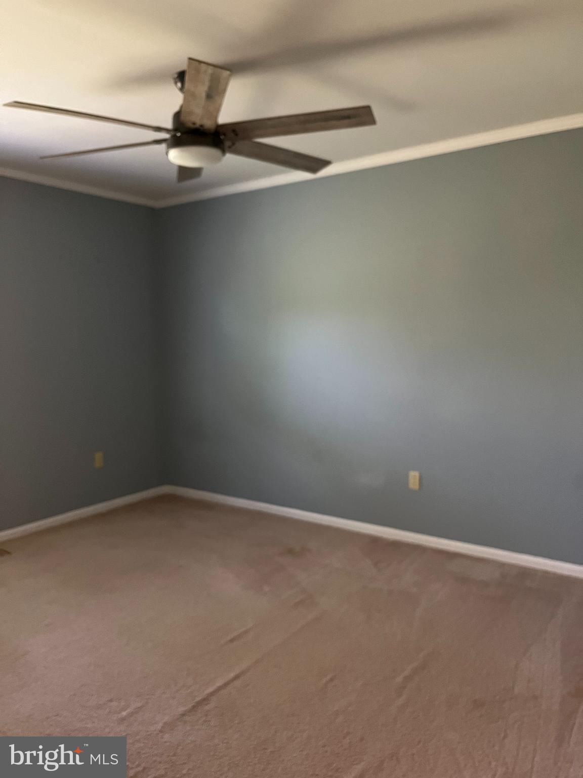 209 Tennessee Road Stevensville, MD 21666 - Photo 23 of 37 Gallery Image 23