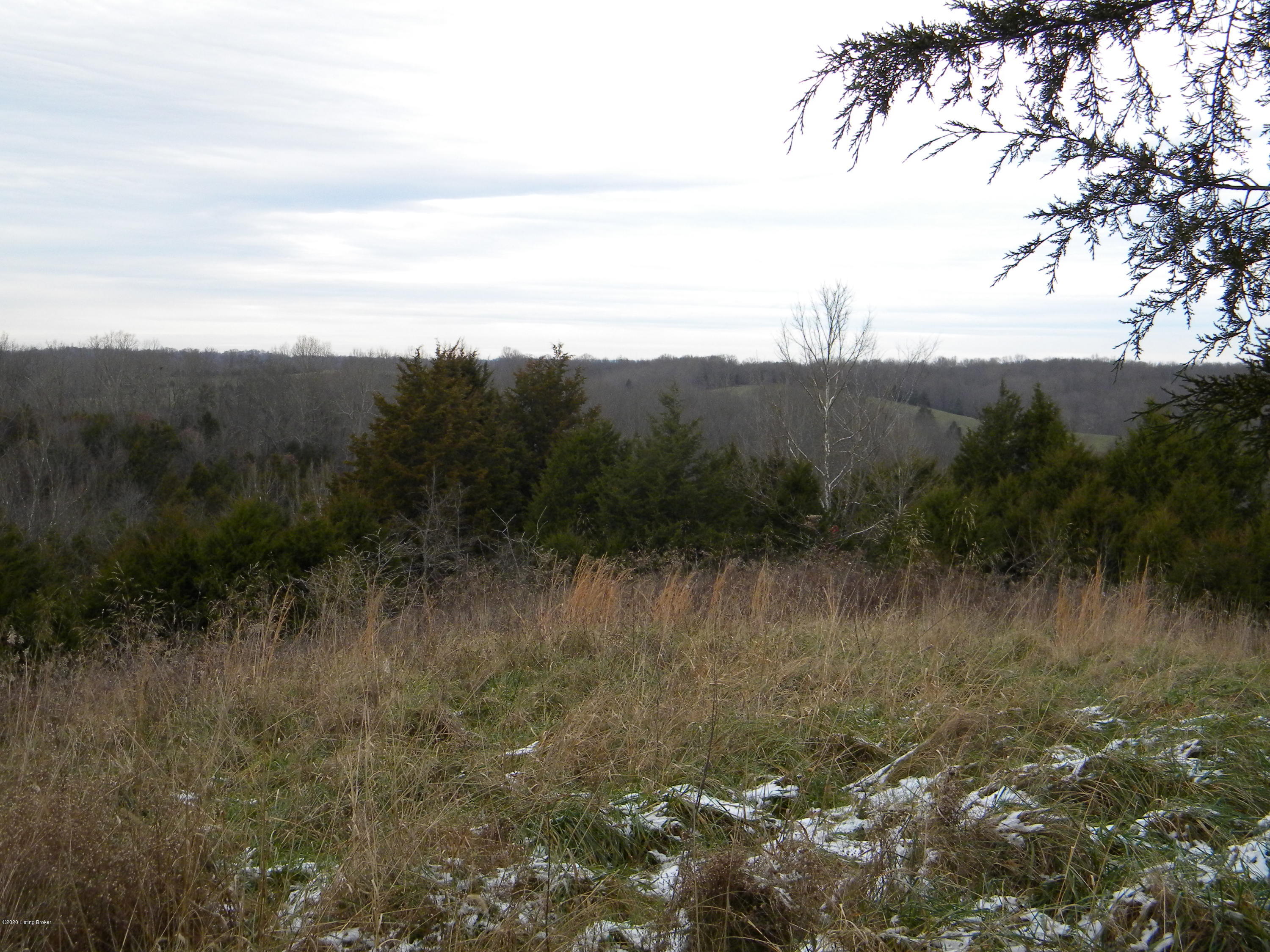3316 Mt Eden Road Lawrenceburg, KY 40342 - Photo 31 of 40 DSCN4794