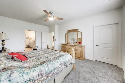 a bedroom with a bed and a dresser