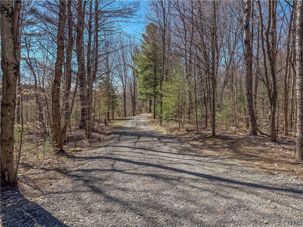 3976 Factory Road Diana, NY 13665 - Photo 43 of 46