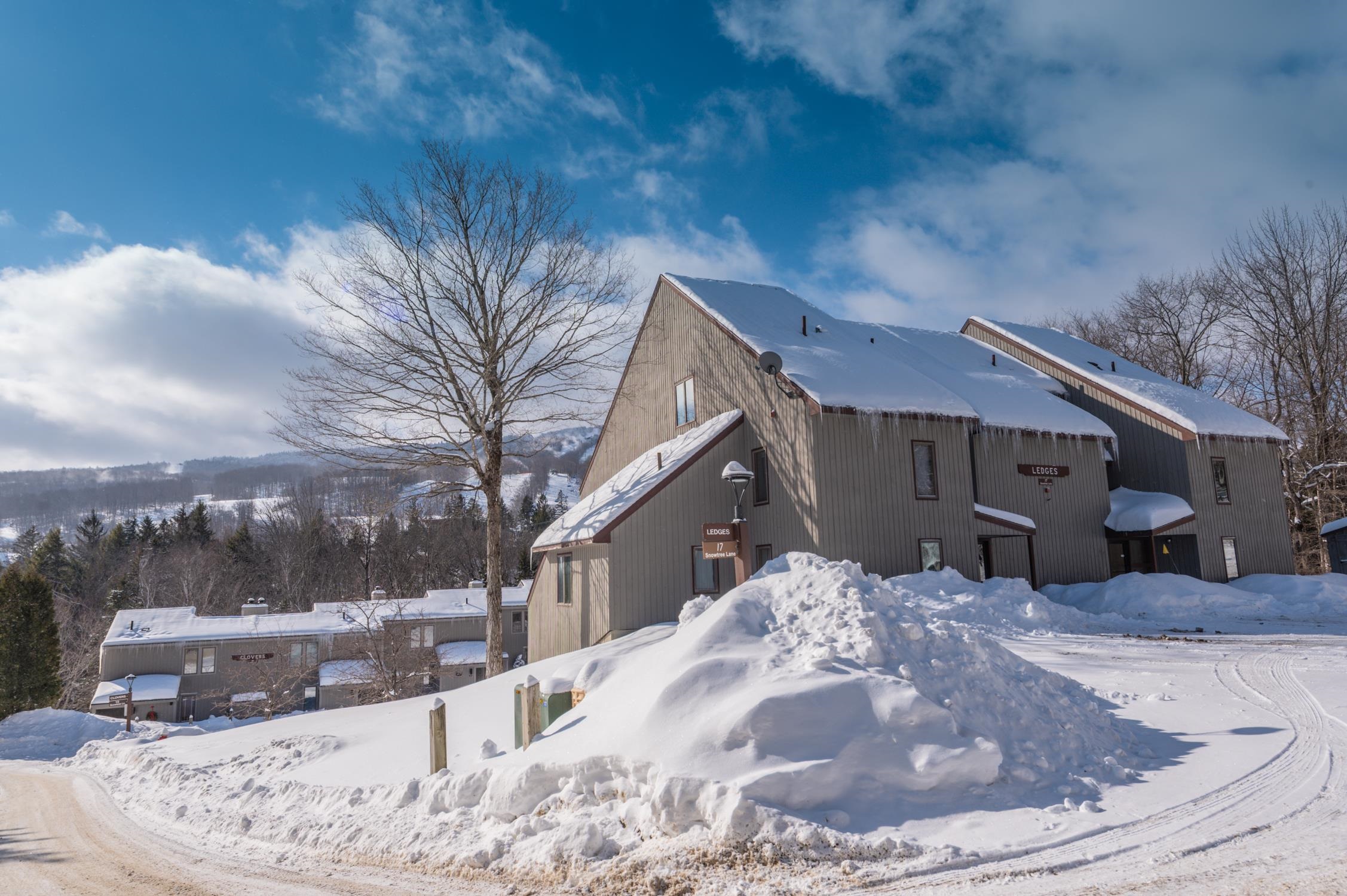 17 I Snow Tree Lane, Unit LEDGES I West Dover, VT 05356 - Photo 18 of 24