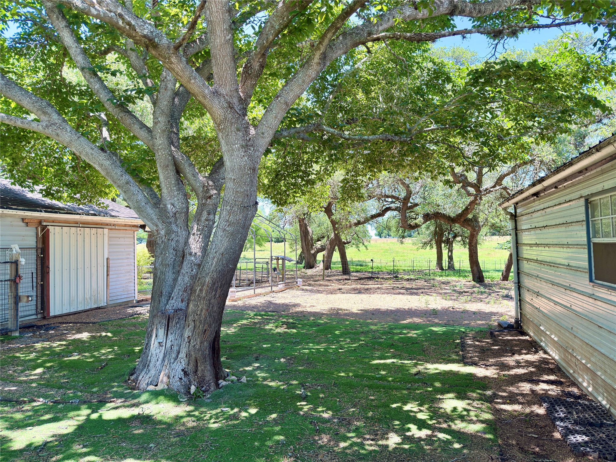 5030 Frenzel Road Round Top, TX 78954 - Photo 12 of 13