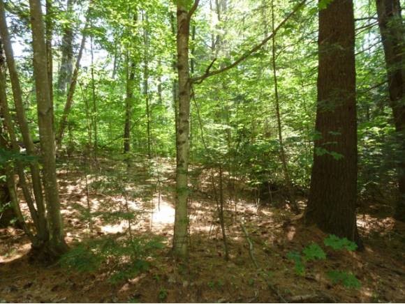 Tamarack Road Thornton, NH 03285 - Photo 1 of 1