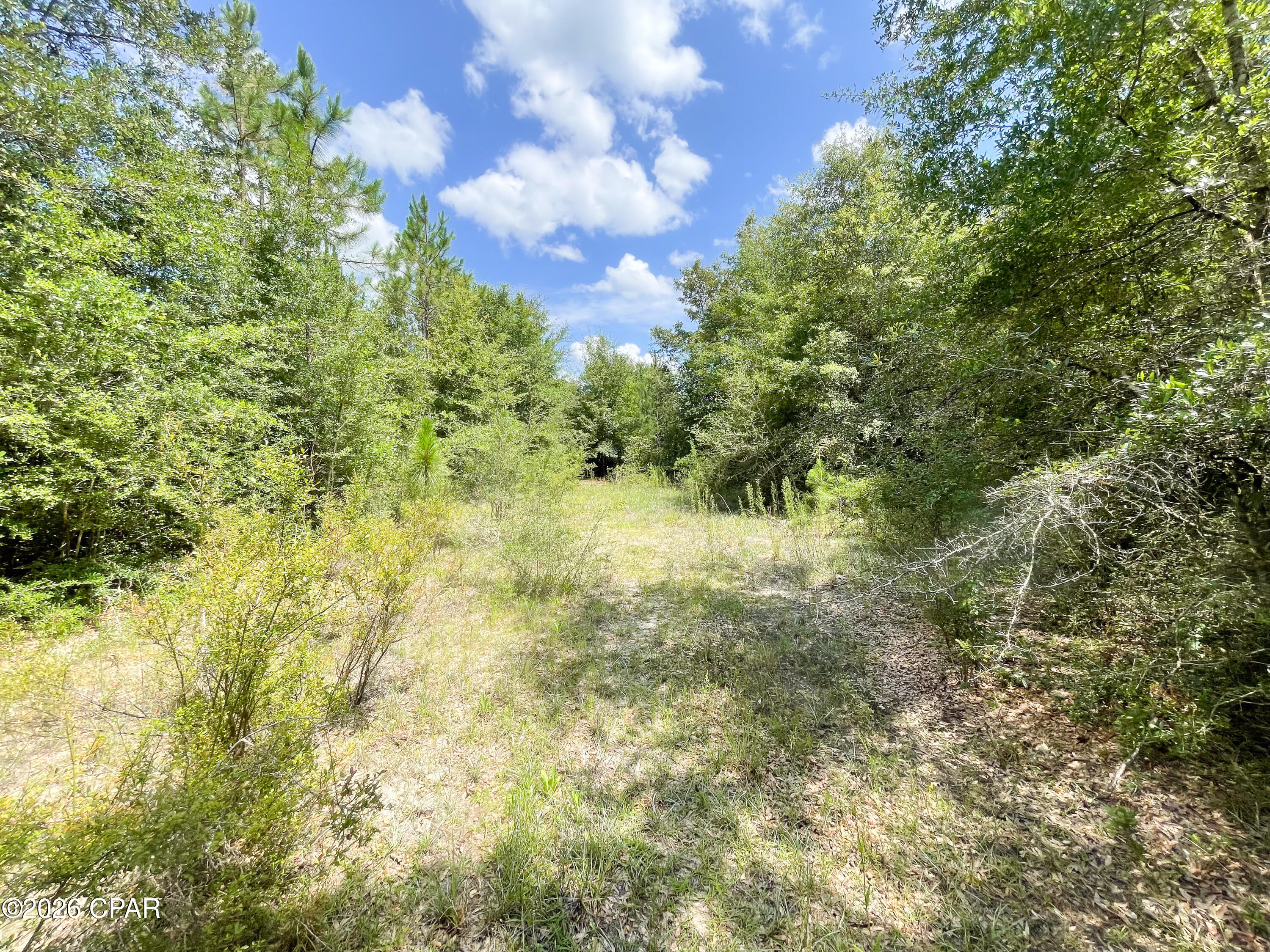 9 Bess Nook Road Bonifay, FL 32425 - Photo 11 of 20