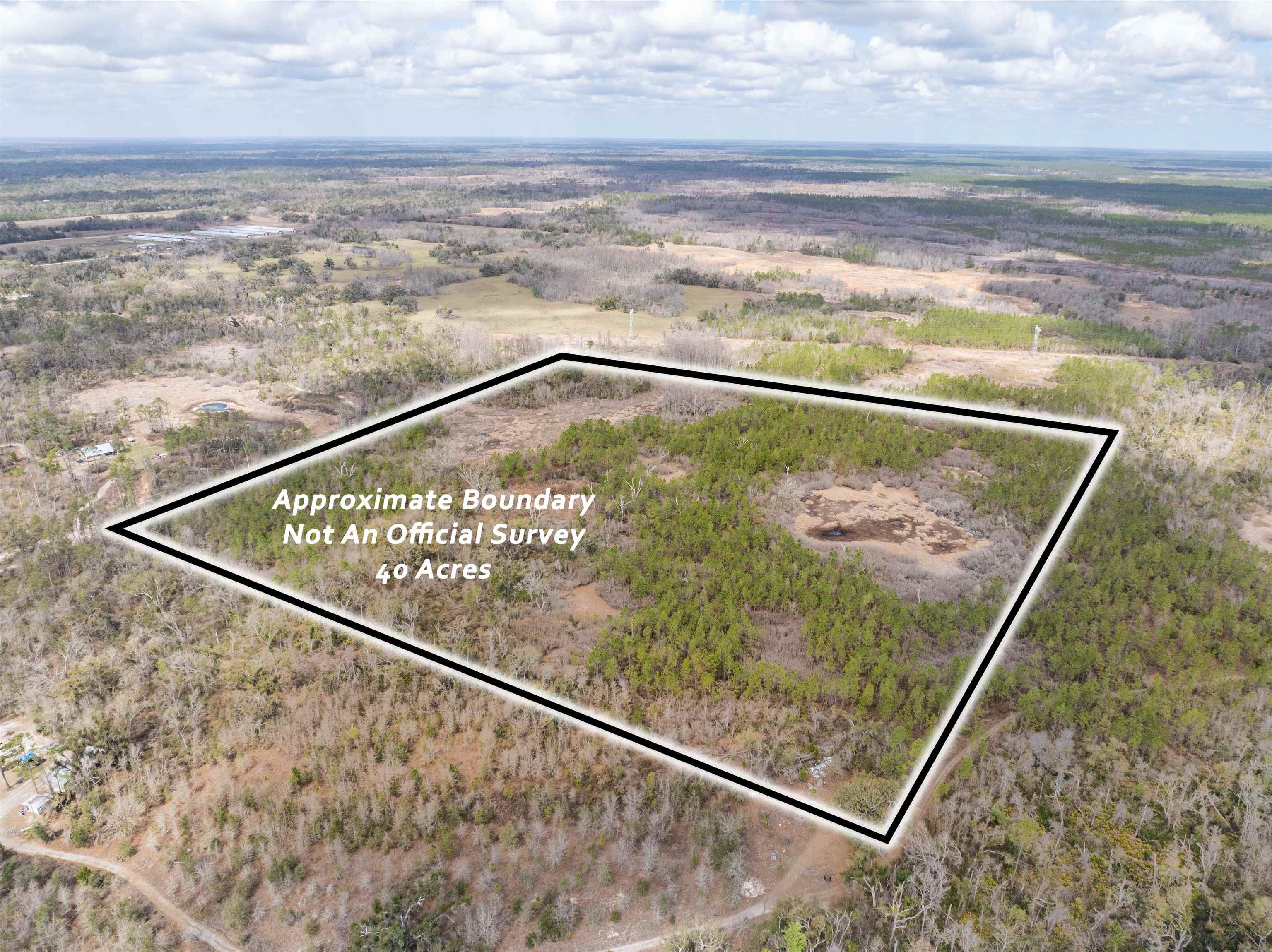 Vacant 40-acres Vacant 40-acres Ellison Frith Road Perry, FL 32347 - Photo 1 of 24