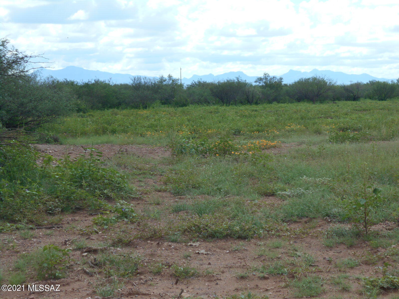 7298 North Frontier Road McNeal, AZ 85617 - Photo 34 of 40 Gallery Image 34