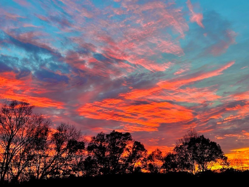 1280 Bold Springs Road McEwen, TN 37101 - Photo 60 of 66