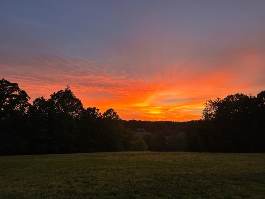 1280 Bold Springs Road McEwen, TN 37101 - Photo 61 of 66 a view of mountain with sunset in background