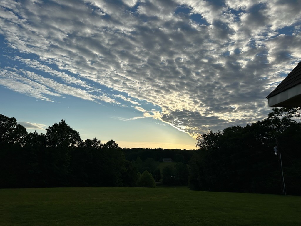 1280 Bold Springs Road McEwen, TN 37101 - Photo 63 of 66