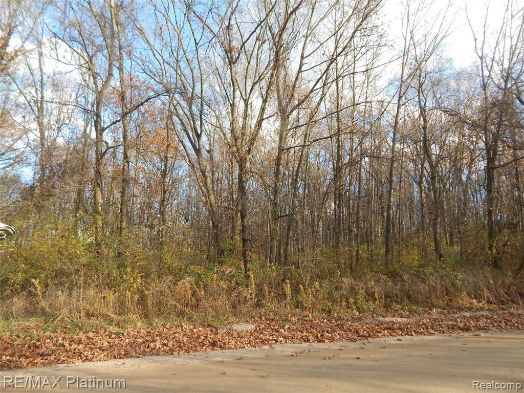 0 Bentley Lake Road Pinckney, MI 48169 - Photo 15 of 24