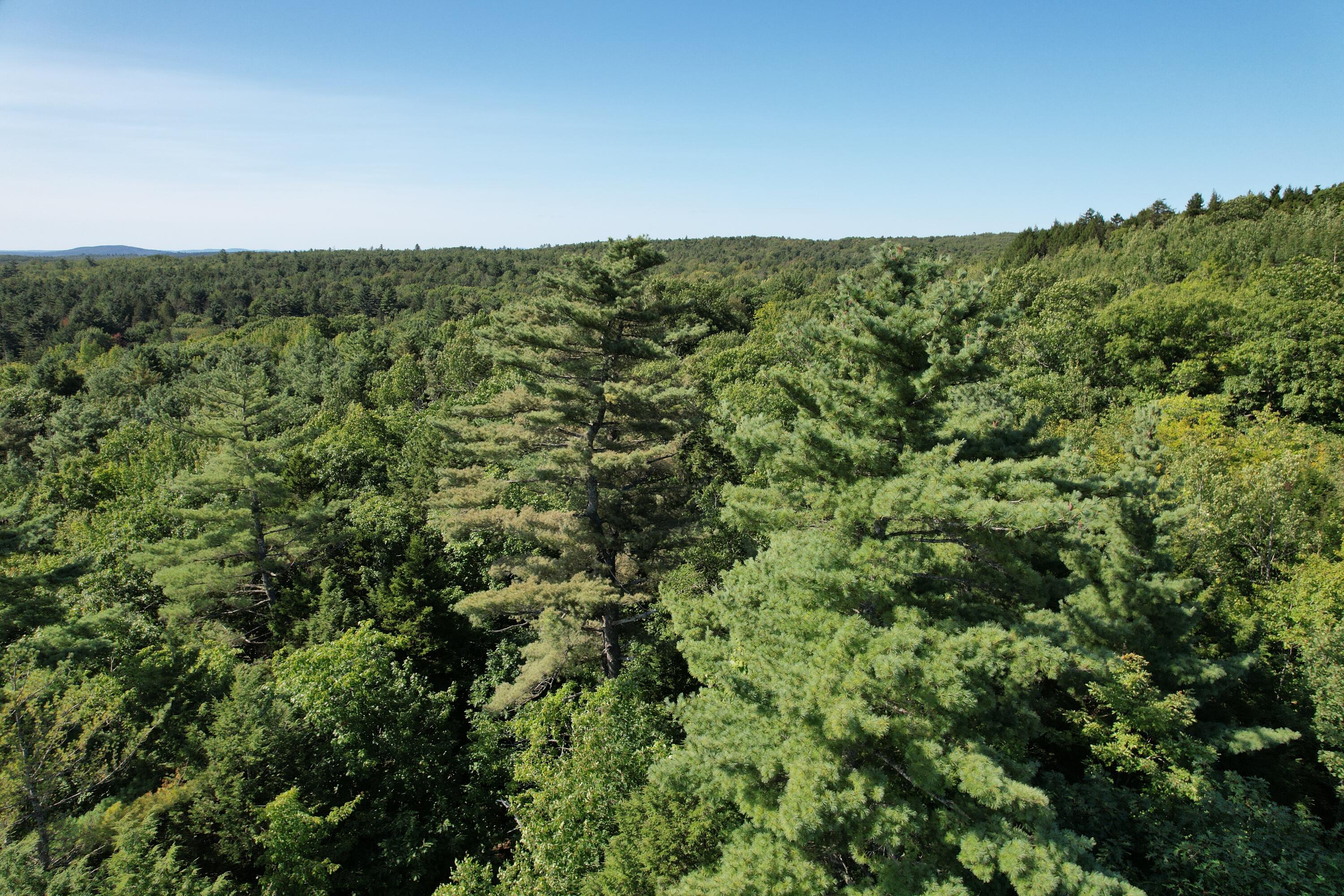 DJI_0053