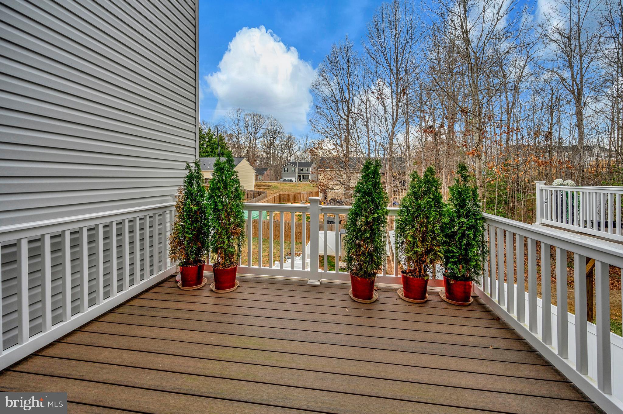 36075 Coyote Trail Locust Grove, VA 22508 - Photo 36 of 51
