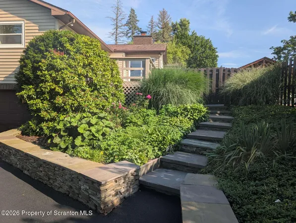 a view of a garden with plants