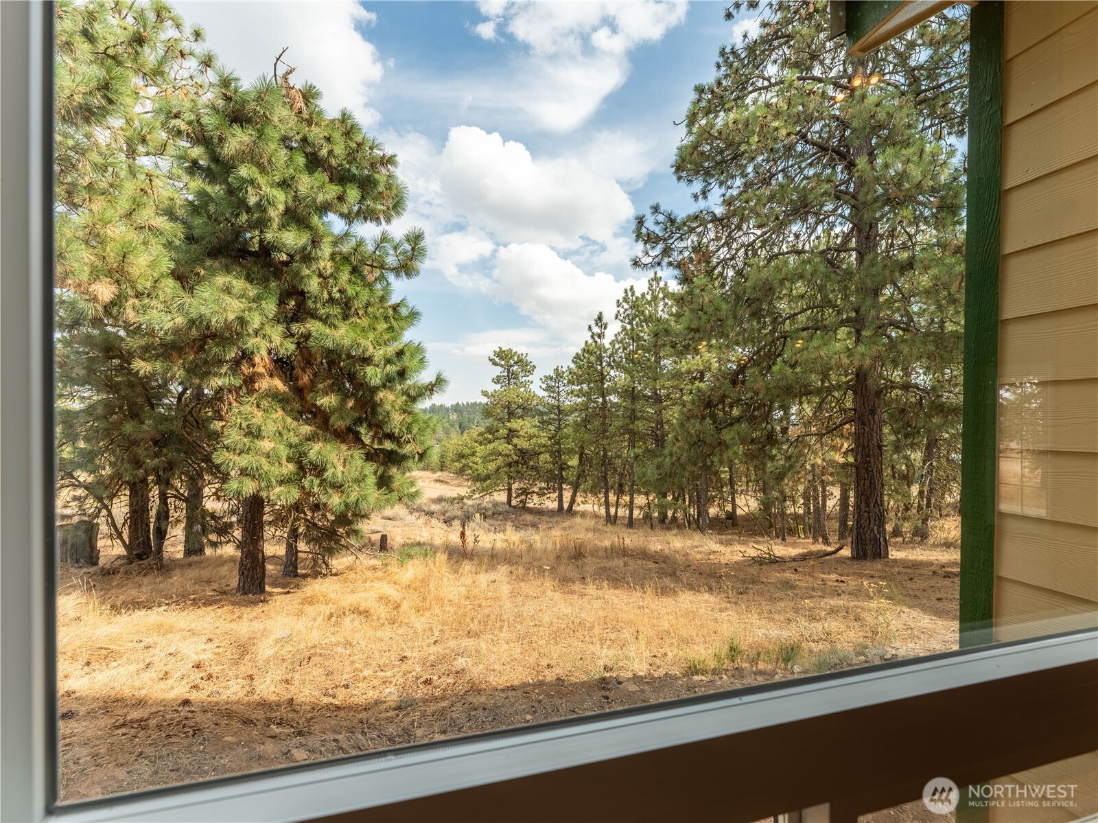 117 Hummingbird Road East Wenatchee, WA 98802 - Photo 32 of 40 a view of a yard with wooden fence