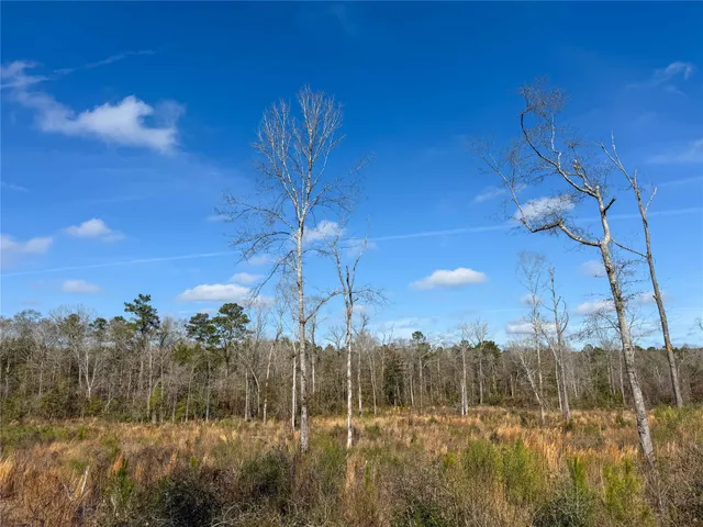 a view of lake with lots of green space