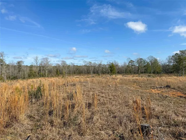 a view of a dry yard with wooden fence